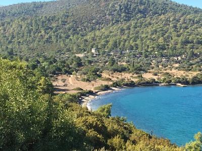 Land for sale in Bodrum, Turkey for 0  - listing #390903, 32767 mt2