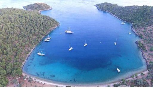 Land for sale in Bodrum, Turkey for 0  - listing #454598, 11000 mt2